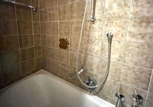 Ferienwohnung Alpenglühen - mit Sauna & Frühstück في شليرزيه: دش في حمام مع حوض استحمام