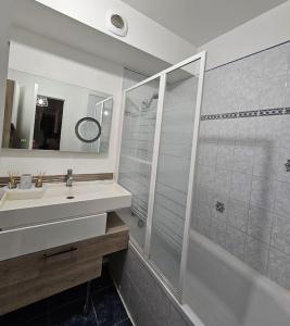 bagno bianco con lavandino e doccia di Magnifique appartement au bord de la Seine avec parking a Villeneuve-la-Garenne