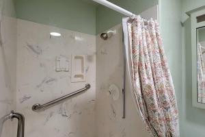 a shower with a shower curtain in a bathroom at Bluemoon Vacation Rentals - Anne Hathaway House in Ashland +13 photos