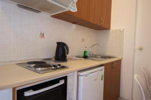 a small kitchen with a stove and a sink at Lido Sofia Apartments in Agios Gordios
