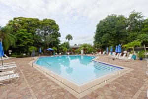 a large swimming pool with chairs and umbrellas at Park Shore Resort, 1st Floor, Bldg. A in Naples
