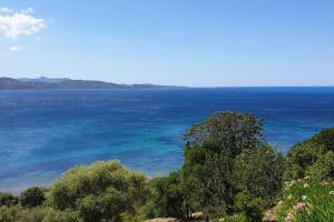 Billede fra billedgalleriet på Appartement sur la Baie de saint Florent i Patrimonio + 20 billeder