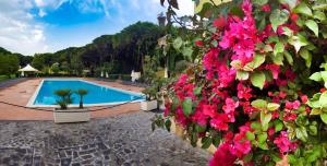 un resort con piscina e fiori di Ala Birdi Residence ad Arborea
