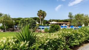 un complejo con piscina y palmeras en Ala Birdi Residence, en Arborea 