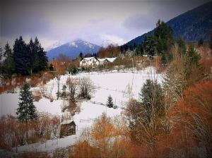 una casa en medio de un campo cubierto de nieve en Alpina Panoramic, en Moisei