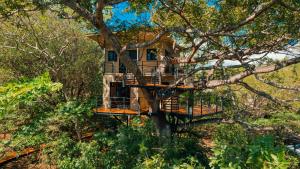uma casa na árvore numa árvore em TreeCasa Hotel & Resort Nicaragua em San Juan del Sur