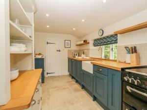 a kitchen with blue cabinets and wooden counter tops at Alice's Cottage in Bridport
