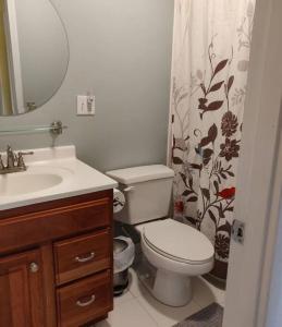 a bathroom with a toilet and a sink and a shower curtain at Pet Friendly Cottage in Thompsonville