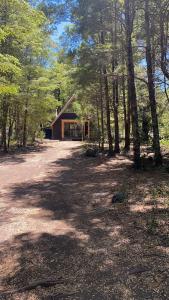 a cabin in the woods with a lot of trees at Cabañas Ladera Sur Melipeuco in Melipeuco +8 photos
