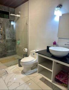 uma casa de banho com um WC, um lavatório e um chuveiro em Descanso en el Bosque em Quesada