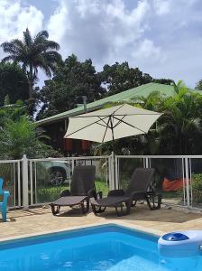 黑角的住宿－Le Tri Haut de Bellevue - Bungalow Héliconia，游泳池旁的一对椅子和一把遮阳伞