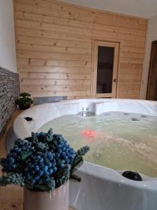 Een bad gevuld met water met bosbessen erin. bij Rodopi Guest House in Tsigov Chark