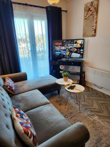 sala de estar con sofá y TV en Home to home studio flat - only 6 minutes to centre - perfect for contractors working in and around Nottingham, en Nottingham