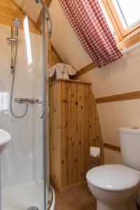 uma casa de banho com um WC e um chuveiro em Eco Pod 1 At Tapnell Farm em Yarmouth