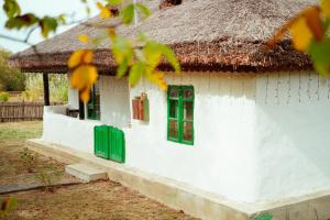 Casa pequeña con ventanas verdes y techo de paja en Casuta Muzeu La Artar, en Călugăreni