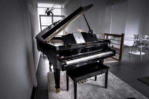 een piano is te zien in een kamer bij Beautiful Loft 130m2 Sun and free parking in La Garenne-Colombes