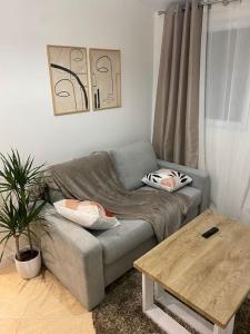 uma sala de estar com um sofá e uma mesa de centro em Appartement charmant proche Paris em Ivry-sur-Seine