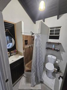 a bathroom with a toilet and a sink at Harvey's Oasis - Cruise Port, Us Embassy, Oval and Vacation in Bridgetown