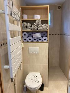 uma pequena casa de banho com WC e toalhas em Appartement charmant proche Paris em Ivry-sur-Seine