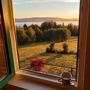 une fenêtre avec une tasse de café sur le rebord de la fenêtre dans l'établissement Domek górski na Polanie Goryczkowej 700 m npm - Szczyrk dojazd samochodem terenowym, w zimie utrudniony - wymagane łańcuchy, à Szczyrk