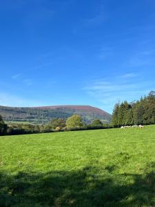 een veld van groen gras met een heuvel op de achtergrond bij The Granary in Abergavenny