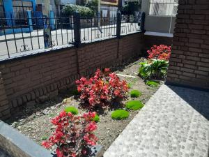 Zahrada ubytování Casa Hotel Palermo 49