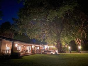 ein nachts beleuchtetes Haus mit einem Baum in der Unterkunft Green Elephant in Lilongwe