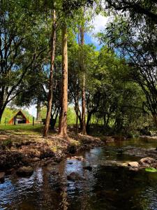 un ruisseau avec une maison en arrière-plan plantée d'arbres dans l'établissement Chalé Caminhos do Salto Ventoso, à Farroupilha