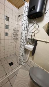 a bathroom with a shower and a toilet and a sink at FeWo, Monteurwohnung Pauline in Gorxheim