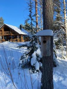 a bird house on a tree in the snow at Villa Kalajärvi in Seinäjoki
