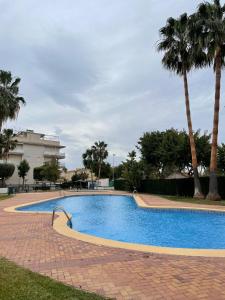 una piscina con palme in un parco di APARTAMENTO PLANTA BAJA CANET DE BERENGUER a Canet de Berenguer