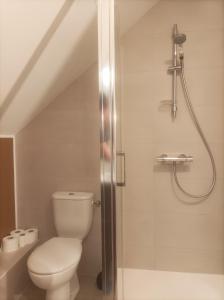 a bathroom with a toilet and a shower at Maison neuve proche de la plage 3 chambres / accès PMR / Parking in Ploemeur