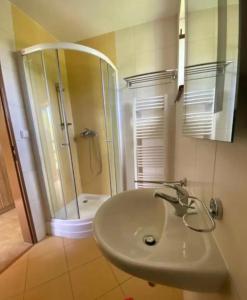 Kúpeľňa v ubytovaní Apartmány F - chata SVOBODĚNKA
