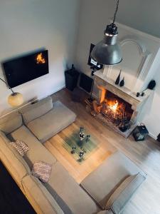 a living room with a couch and a fireplace at Oak Wood - Olympic Villa in La Queue-lès-Yvelines