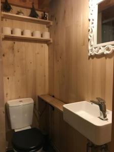 uma casa de banho com um WC, um lavatório e um espelho. em Chalet Au bois du Haut Folin em Saint-Prix