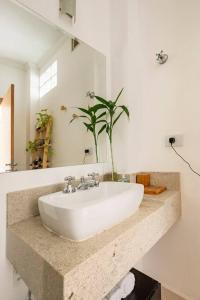 uma casa de banho com um lavatório branco com uma planta em Apartamento no Centro - 1 quarto Edifício Copan em São Paulo