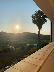 a view from a house with a palm tree at Baglio Quadrone bovo Marina in Montallegro