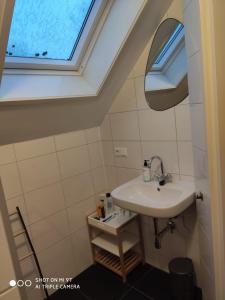 a bathroom with a sink and a skylight at Appartement Ruinerwold in Ruinerwold