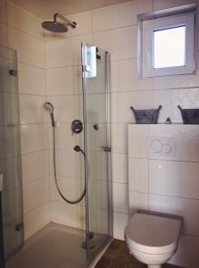 a bathroom with a shower and a toilet at Cudne Manowce ogrodzony domek na wyłączność wśród ciszy i natury u stóp Gór Izerskich in Giebułtów +59 photos