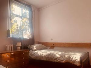 1 dormitorio con 1 cama, vestidor y ventana en Rykowisko - Agroturystyka dla dorosłych, 