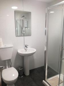 a bathroom with a toilet and a sink and a shower at Harbourside 2 in Dartmouth