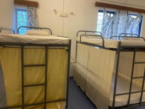 Divstāvu gulta vai divstāvu gultas numurā naktsmītnē Stargaze Resort and Hostel