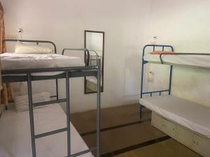 Divstāvu gulta vai divstāvu gultas numurā naktsmītnē Stargaze Resort and Hostel