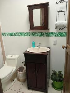 a bathroom with a sink and a toilet and a mirror at La Estancia Ideal Apartamentos in Fortuna