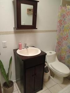 a bathroom with a sink and a toilet and a mirror at La Estancia Ideal Apartamentos in Fortuna