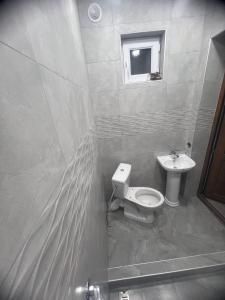 a bathroom with a toilet and a sink at Miasnikyan Guest House in Yerevan