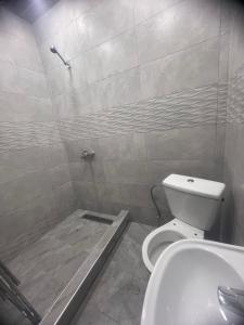 a bathroom with a shower with a toilet and a sink at Miasnikyan Guest House in Yerevan