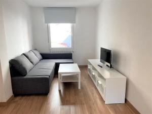 a living room with a couch and a tv at Housingleon- Camino de Santiago by Bike I in León