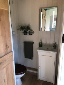 a bathroom with a toilet and a sink and a mirror at The Old Vicarage Shepherd's Hut in Stroud