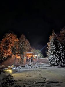 una casa en la nieve por la noche con árboles en BowLakeHouse - Lakefront Cottage with Beach en Bancroft